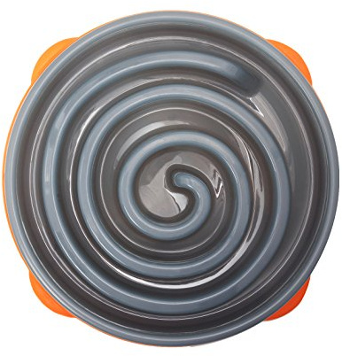 Outward Hound Slow Feeder Bowl Coral Design, Large, Grey | Helps Slow Eating, Supports Healthy Digestion, Non Slip Base, Suitable for Dry or Wet Food, Everyday Feeding