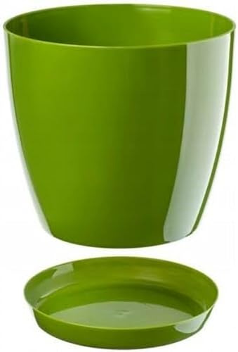 B2C Plant Pot Flower 20 Colours 9 sizes Gloss Plastic Plant Pots Planter Saucer Tray Deco (14 cm/ 5.5 inch, Green)