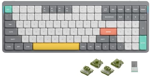 nuphy Air96 V2 Mechanische Tastatur Kabellos mit niedrigem Profil,100 Tasten RGB Hot-Swap Tastatur unterstützt 2.4GHz Wireless/Bluetooth/USB-C für PC/Laptop/Windows/Mac-Grey Gateron Moss Switch