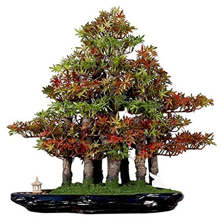 Künstlicher Bonsai-Baum Künstliche Kiefer-Bonsai-realistische Zypresse Und Moos-chinesisches Bonsai Mit Kleinem Pavillon Und Bösewicht Innenbüro-Dekoration Pflanzendekoration ​Künstliche