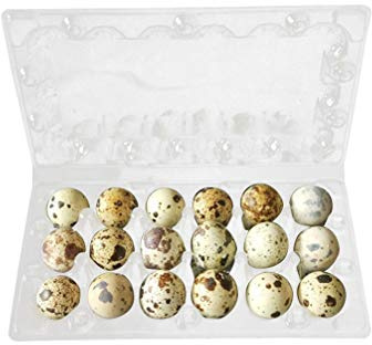 OSKOE 50 Pezzi Porta Cartoni in Plastica for Uova di Quaglia con Coperchio, Cartone for Uova di Quaglia for Uova Piccole Quaglia Fagiano Grouse Frigorifero Portauova Senza Uovo, 18 Griglie