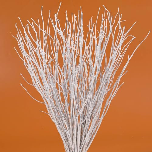 40 Stück echte getrocknete Birkenzweige – 43,2 cm weiße dekorative Birkenzweige für Vase, Tafelaufsatz, Hochzeitsdekoration, Birkenstäbe für Bastelarbeiten, Zweigkranz, Blumenarrangement, Pflanzen für