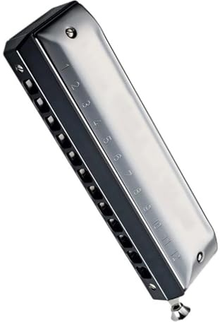 Professionelles 12-Loch-Chromatisches Mundharmonika-Instrument, ABS-Kamm, Edelstahlabdeckung Mundharmonika-Set