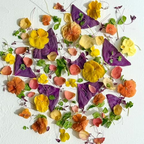 Edible Flowers - 'Penelope' Freeze Dried Flower , Petal and Leaf Mix - Certified Food Grade (549)