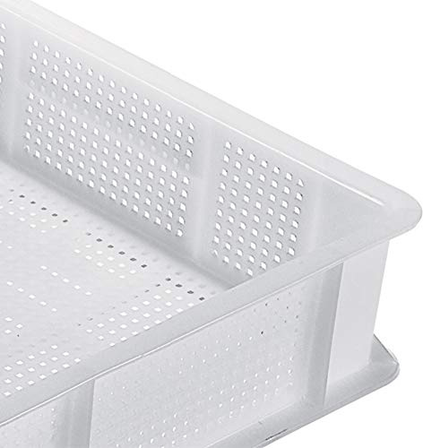 Giganplast Cassetta Forata polietilene Uso Alimentare Service 60x40cm sovrapponibile Professionale Impasto Pane Pasta (60x40cm h7cm)