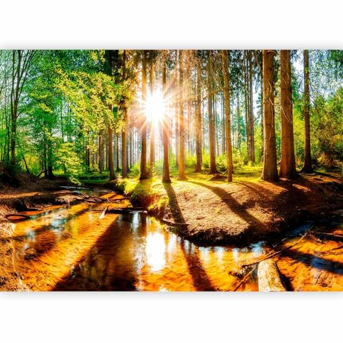 murando Fotomurales Bosque 150x105 cm XXL Papel pintado tejido no tejido | Decoración de Pared decorativos Murales moderna de Diseno Fotográfico Paisaje Naturaleza