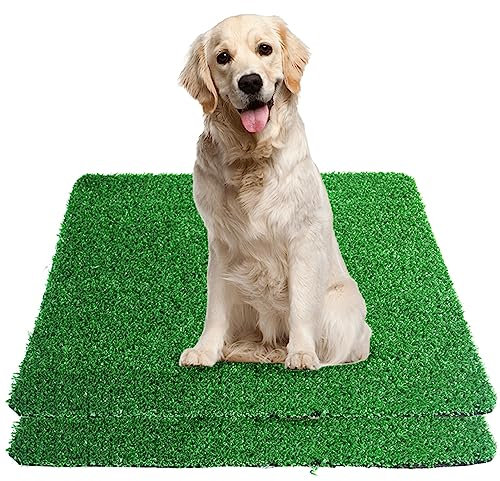 GIBZ Kunstrasen Hundeklo Gras Teppich für Hunde Waschbar Welpen Trainings Hundetoilette mit Drainageloch 2 Stücke, L, 51.5×40cm