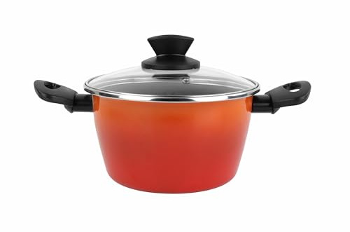 Magefesa Umami Olla 20cm acero esmaltado vitrificado con tapa de vidrio