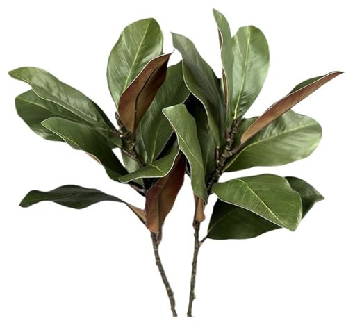Poo4kark Muttertag 2 Stück künstliche Magnolienzweige, Magnolienblätter, Magnolienblätter-Picks, realistische Magnolienblätter-Zweige, grüne Magnolien für, Tischvase, drinnen draußen (Green, 56cm)