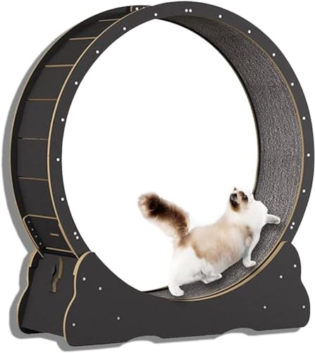 Katzenlaufrad, Katzenlaufrad Katzenlaufband Katzen Gewichtsverlust Gerät Robust Multifunktional Für Katzen Gewichtsverlust Heavy Duty Katzenmöbel Langlebig, Schwarz Größe L