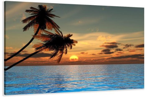 Visario Bild Leinwand Palmen Modell XXL Nr 4144 80 x 60 cm Leinwand Bild Wanddeko hochwertig Wohnzimmer Büro Druck