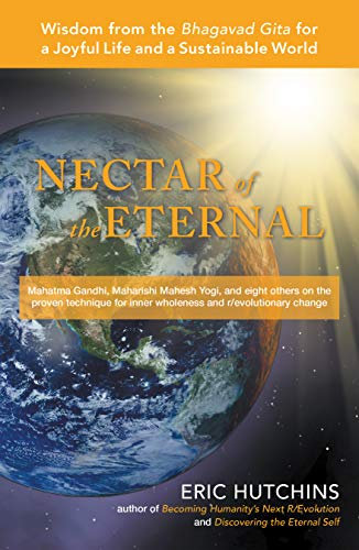 Nectar of the Eternal: Wisdom from the Bhagavad Gita for a Joyful Life and a Sustainable World (English Edition)