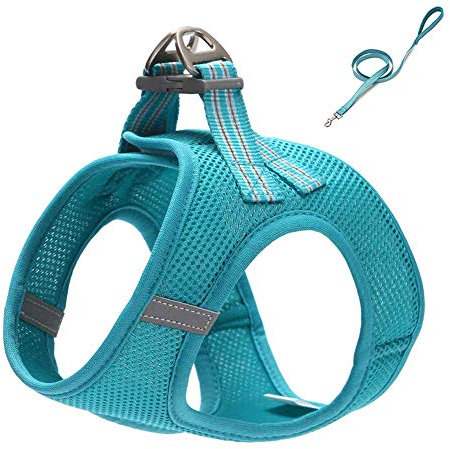 feiling Katzen-Geschirr Hundegeschirr Kleine Hund Atmungsaktiv Mesh Welpengeschirr Verstellbares Brustgeschirre Step-in Vest Reflektierende Softgeschirr mit 1,2M Hundeleine Set Führleine (XXS, Blau)