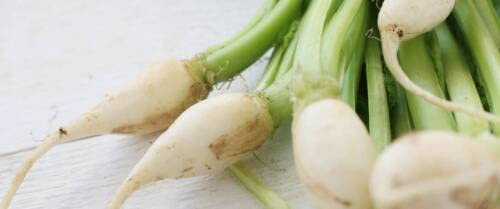 50 SEMI DI RAPA DELLE VIRTU':Graines