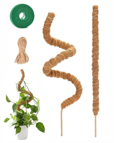 MenYiYDS Tuteur Monstera pour Plantes, SproutMaven Tuteur Plante Grimpante 2 Pièces Bâton de Coco de 30cm, Poteau Totémique pour Plantes de Jardin et Pots