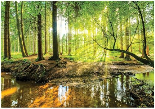 WallArena - Vlies Fototapete Wald Sonne Bach Grün Natur Bäume 400x280 cm - Fototapeten - Tapeten - für Wohnzimmer Schlafzimmer - Vliestapete Wandtapete Tapete 3D Effekt- inkl. Kleister