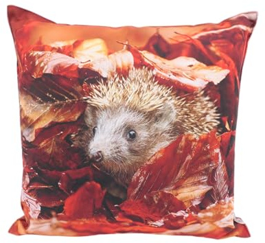CB Home & Style Outdoor Garten Kissen Herbstkissen Herbstdeko Outdoorkissen Wasserabweisend 45x45cm mit Füllung (Herbst 15 - Igel)