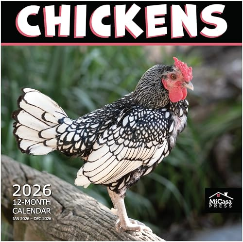 MICASA PRESS Chickens 2026 Wall Calendar 12 Month | 12 x 24 Open | Thick & Sturdy Paper | Holiday Gift | Farm Animals Funny Calendar 2026