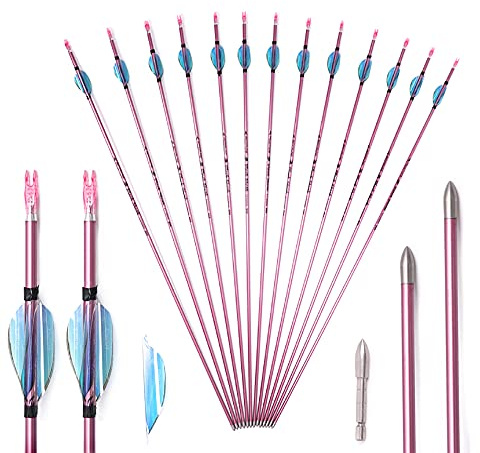 ACCMOS 12 Stück Bogenschießen Reinem Carbon Pfeile ID 4,2 mm Spine 500 600 700 800 900 1000 Jagdpfeil Rosa für Compoundbogen RecurveBogen Schießen