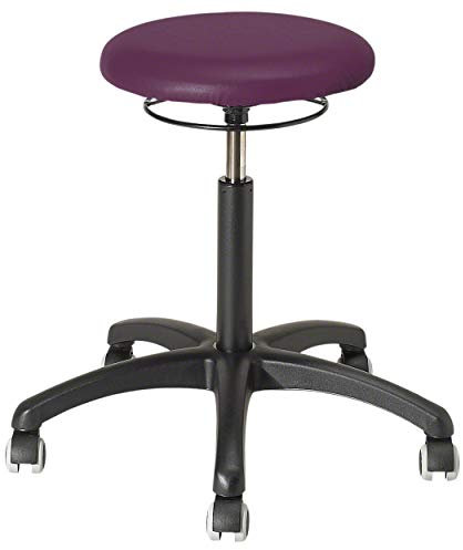 Sport-Tec Drehhocker Standard mit Polster und Rollen