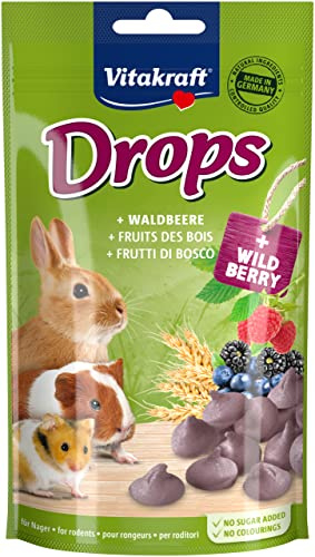 Vitakraft Drops, godsaker för gnagare, med skogsbär, gnagarmat, för att skämma bort, utan tillsats av socker (1 x 75 g)