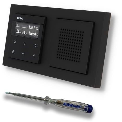Gira Dold IP Internetradio 232003 + Bluetooth komplett set med högtalare – E2 svart matt med 2 ramar Gira 021209 inkl. EBROM fastestare för montering av enheterna