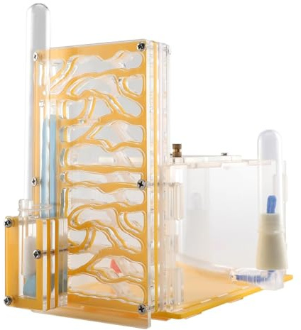 Ｚｉａｌｏｆｉ Ameisenfarm mit Futterspender, transparentes Zuchtgehäuse für wissenschaftliche Zwecke, Gelb