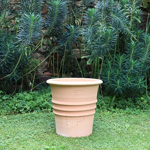 Palatina Werkstatt Blumentopf Aster 35 cm aus Terracotta – frostfester Pflanzkübel handgefertigt auf Kreta – winterharter Terracottatopf mit Auslaufloch – ideal für Garten, Terrasse & Balkon