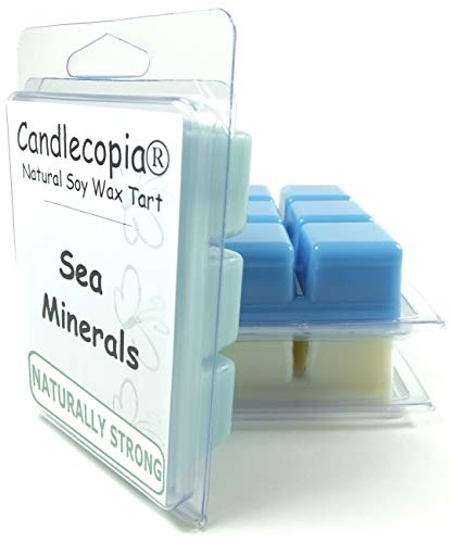 Candlecopia Sea Minerals, Cactus & Sea Salt and Sea Mist Strongly Scented Hand Poured Vegan Wax Melts, 18 Scented Wax Cubes, 9.6 Ounces in 3 x 6-Packs