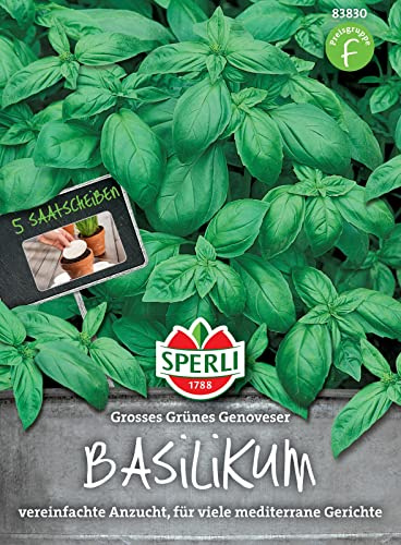 Sperli-Samen Basilikum Genoveser 5 Saatscheiben