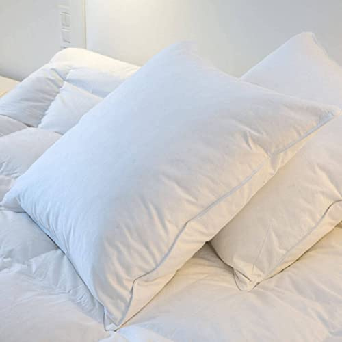 CASTEX- Oreiller Plat Moelleux Plume-Duvet 65x65