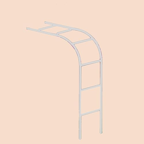 Arche de jardin en acier inoxydable pour vignes grimpantes - Fixation murale - Arche décorative pour patio - Pergola extérieure - Support de treillis métallique - Tube latéral de 19 mm