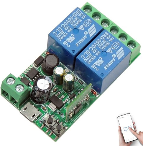 DieseRC Interrupteur Intelligent WIFI 2 canaux, DC 5V 12V 24V 36V Sortie Passive Module Relais, Ewelink APP Contrôle WIFI compatible avec Alexa/Google Home, commutateur Inching/autobloquant