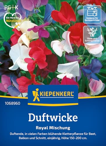 Kiepenkerl Duftwickensamen Royal Mischung 1068960, Blumensaat | Duftende, in vielen Farben blühende Kletterpflanze für Beet und Balkon, als Schnittblume