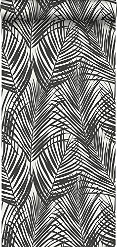 Sanders & Sanders papier peint feuilles tropicales noir et blanc 53 cm x 10.05 m