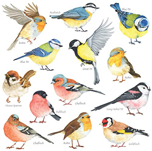 DECOWALL DS2-8038 Little Birds Wall Art Stickers Colourful Flying British Birds Wall Decals Removable Garden Decorations Poster Bedroom Kitchen Living Room (Small)