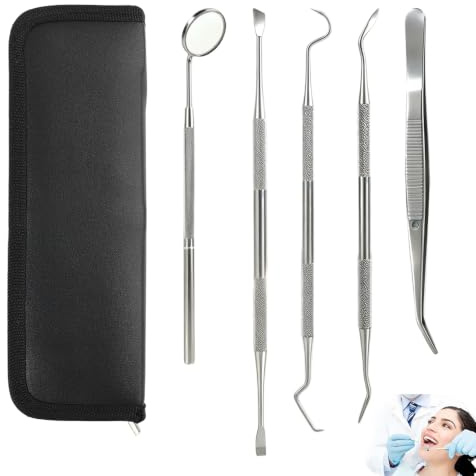 Kit de Nettoyage Dentaire en Acier Inoxydable, 5 Outils, avec Étui de Rangement, Usage Personnel et Animaux