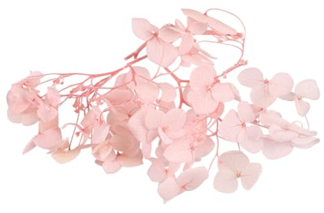 MUCKLILY di Fiori Secchi Naturali Idreanti Eterni di Ortensia Rosa Per Decorazioni Bomboniere Te Articoli per Matrimoni e Feste