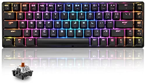 T8 RGB 60% Clavier Mécanique, Clavier de Jeu Filaire Layout Compacte 65%, 18 LED RVB Chroma Rétroéclairées, QWERTY Mini 68 Touches Full Key Anti-ghosting Pour PS4, Xbox, PC, MAC - Brown Switch/Black