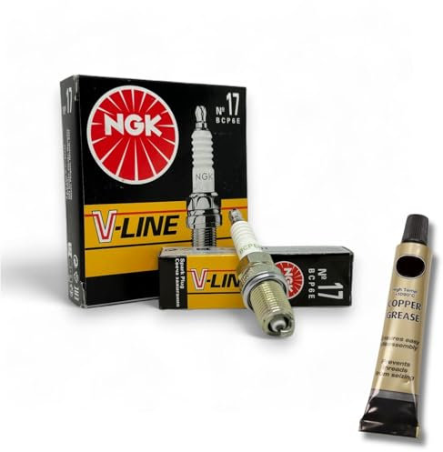 6x Zündkerzen V-Line passt für Mercedes S-Klasse W140 S280 300SE 300SEL + Kupferfett