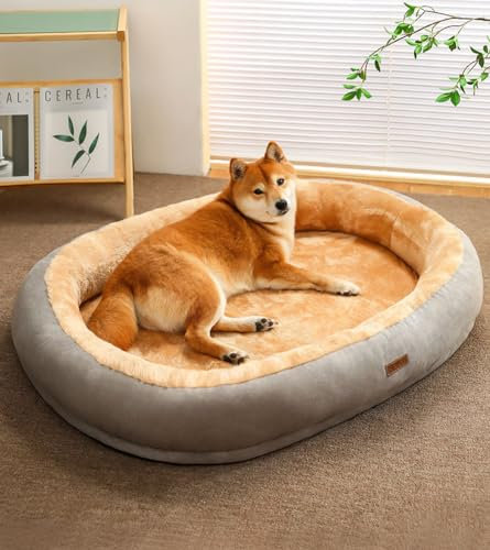 LINGXIYA Plüsch Hundematratze, Orthopädisches Hundebett, Memory Foam Hundebett, Donut Kuscheliges Hundekorb, Hundekörbchen Abnehmbar und Waschbar, für Fensterbank, Sofa, Boden, Auto, 50 * 40cm
