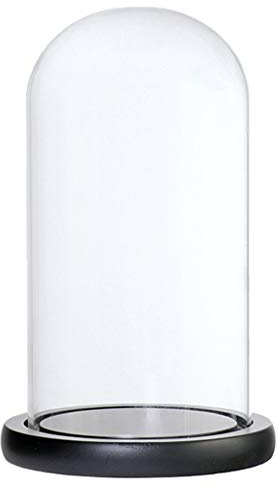 Cupola di Vetro Vaso Forma di Campana di Vetro con Legno, Nero D