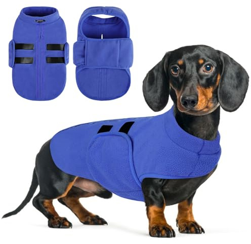 Queenmore Hundemantel Winter Fleece Warm Wintermantel Hund, Hundejacke Hundeweste Kleine Hunde, Hundepullover Dackel, Chihuahua, Bulldog, Greyhound, Blau, L | Hundejacke Hundeweste Kleine Hunde, Hundepullover Dackel, Chihuahua, Bulldog, Greyhound, für Spaziergänge Bei Kälte & Schnee