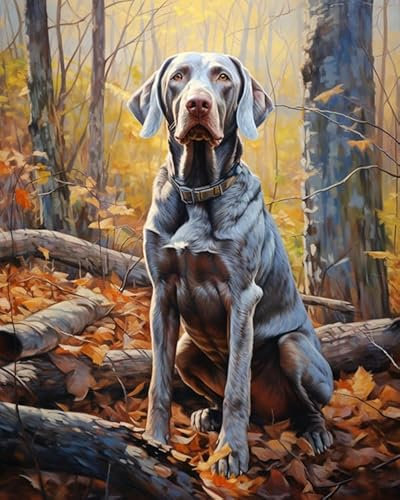 ZMHZMY Digitale Malerei auf Leinwand Weimaraner Hund, Herbstwald DIY Handgemalt Ölgemälde Kits auf Leinwand Geschenk für Weihnachten Geburtstag Home Haus Deko - Ohne Rahmen,40x50cm