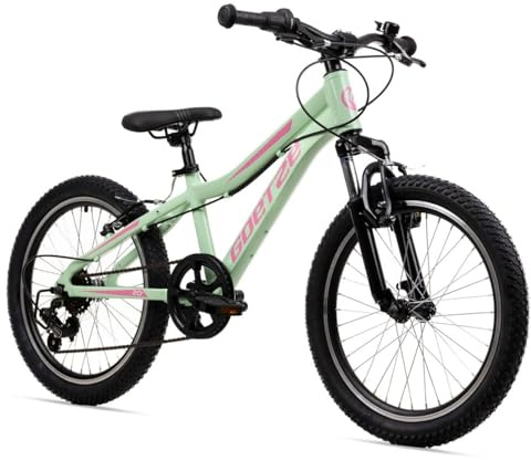 Goetze Define Mini Kinderfahrrad 20x2.1 Zoll Rad | MTB Hardtail | 6-Gang Kettenschaltung mit Drehgriff | Federgabel | V-Bremse vorne & hinten | Aluminiumrahmen 28 cm | für Kinder 120–135 cm
