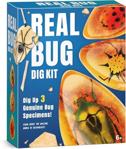 Bernstein Ausgrabungsset für Kinder ab 6 7 8 9 10-12 Jahren, Fossilien Ausgrabungsset Kinder mit 3 echten Insektenpräparaten, Edelsteine Ausgraben für Jungen Mädchen