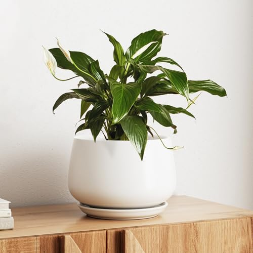 LE TAUCI Pot de Fleurs en Céramique, Pot pour Plantes 25 cm avec Trou de Drainage et Soucoupe, Pot de Fleurs d’Intérieur Durable pour Décoration Moderne de la Maison, Blanc