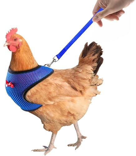 Harnais de poulet avec corde, harnais de poulet pour poules - Corde de traction réglable du harnais respirant,Fournitures pour animaux de compagnie, pouce de poule de poule de 3,6 pieds pour l'entraîn