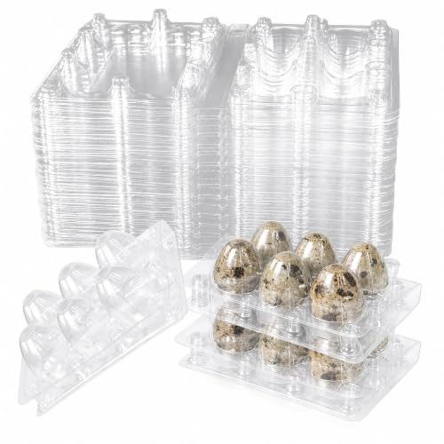 WEFHEF 30PCS Cajas de Huevos de Codorniz 6 Rejillas, Hueveras de Plastico con Tapa Reutilizable y Transparente, Cajas de Almacenamiento para Guardar los Huevos de Codorniz Apilables, para Nevera