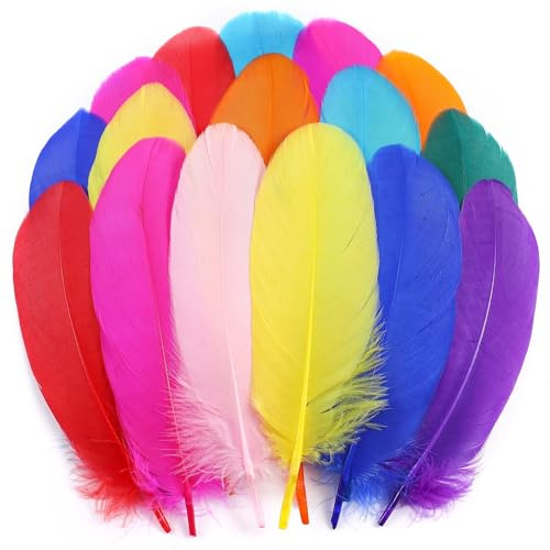 Holmgren Colorful Craft Goose Feathers - 200pcs 5-7inch Colored Feathers for DIY Crafts, Dream Catchers, Cosplay Wings and Home Party Decorations Colorful)